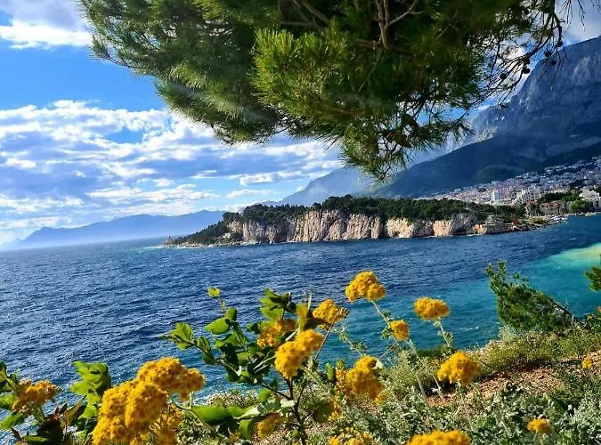 아파트 Seaview Oscar