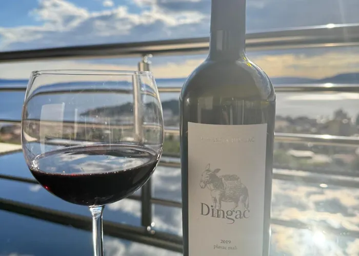 Seaview Oscar * 마카르스카